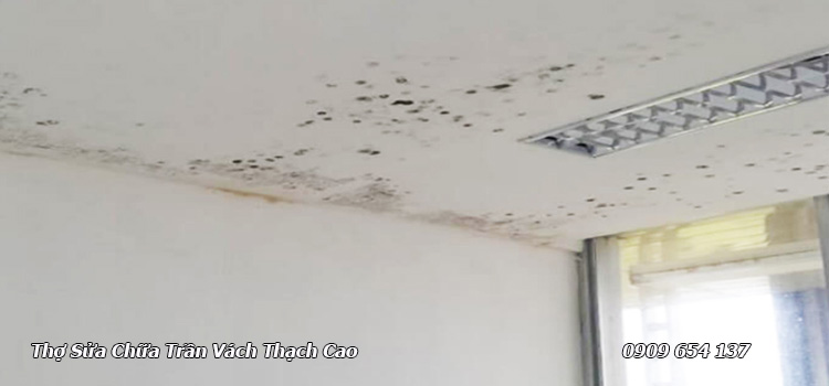 Dịch vụ sửa chữa trần vách thạch cao bị hỏng tại TP. Hồ Chí Minh